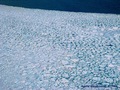 Pancake ice – jedna z kolejnych form tworzenia się lodu morskiego. Fot. Agata Weydmann
